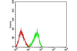 Flow cytometric analysis of HL-60 cells using CD3D mouse mAb (green) and negative control (red).