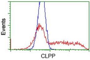 Flow Cytometry (FACS) image for anti-ClpP Caseinolytic Peptidase, ATP-Dependent, Proteolytic Subunit Homolog (E. Coli) (CLPP) antibody (ABIN1497537)