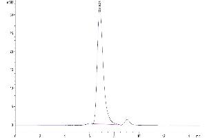 The purity of Human HLA-G Complex Tetramer is greater than 95 % as determined by SEC-HPLC.