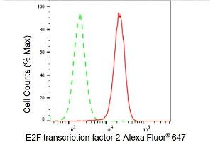 Flow cytometric analysis of E2F transcription factor 2 expression in HAP-1 cells using E2F transcription factor 2 antibody (ABIN7798414), 1:2,000). (Recombinant E2F2 anticorps)