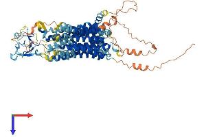 AlphaFold protein structure predicition of Human Recombinant SLCO3A1 Protein, UniprotID Q9UIG8