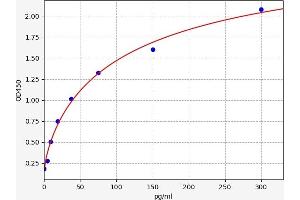 Typical standard curve (NMT1 Kit ELISA)