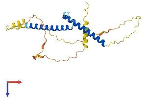 AlphaFold protein structure predicition of Human Recombinant BHLHE23 Protein, UniprotID Q8NDY6