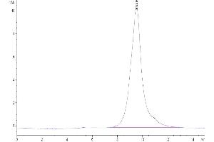 The purity of Biotinylated Human 4-1BB is greater than 95 % as determined by SEC-HPLC.