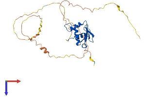 AlphaFold protein structure predicition of Human Recombinant SPI1 Protein, UniprotID P17947
