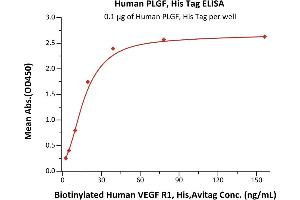 Placenta Growth Factor (PGF) (AA 19-170) (Active) protein (His tag)