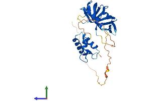 AlphaFold protein structure predicition of Mouse Recombinant Rpa2 Protein, UniprotID Q62193