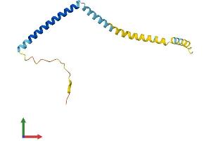 AlphaFold protein structure predicition of Human Recombinant TPD52L3 Protein, UniprotID Q96J77