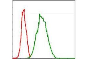 Flow cytometric analysis of Jurkat cells using G6PD mouse mAb (green) and negative control (red). (Glucose-6-Phosphate Dehydrogenase anticorps)