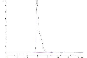 The purity of Human TGFBR1 is greater than 95 % as determined by SEC-HPLC.