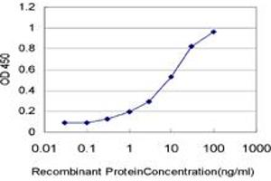 Detection limit for recombinant GST tagged HOXA5 is approximately 0. (HOXA5 anticorps  (AA 171-270))