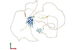 AlphaFold protein structure predicition of Mouse Recombinant Fus Protein, UniprotID P56959