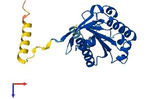 AlphaFold protein structure predicition of Human Recombinant ARL15 Protein, UniprotID Q9NXU5