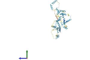 AlphaFold protein structure predicition of Mouse Recombinant Nebl Protein, UniprotID Q0II04