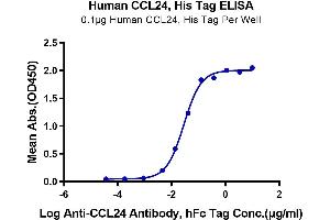 Immobilized Human CCL24, His Tag at 1 μg/mL (100 μL/Well) on the plate.