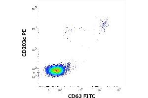 Flow cytometry dot-plot staining pattern of rBet v 1 recombinant allergen stimulated human peripheral whole blood lymphocytes and basophils of a proven allergic donor stained using anti-human CD63 (MEM-259) FITC and anti-human CD203c (NP4D6) PE antibodies . (PFN1 Protéine)