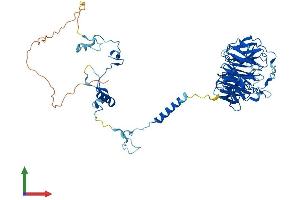 AlphaFold protein structure predicition of Mouse Recombinant Cdc40 Protein, UniprotID Q9DC48