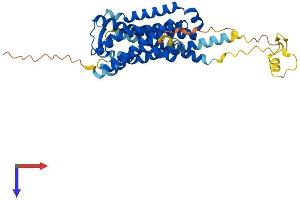 AlphaFold protein structure predicition of Mouse Recombinant Gpr173 Protein, UniprotID Q6PI62