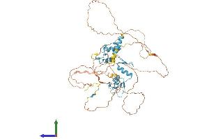 AlphaFold protein structure predicition of Human Recombinant GLIS2 Protein, UniprotID Q9BZE0