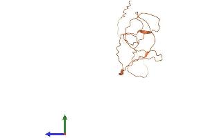 AlphaFold protein structure predicition of Human Recombinant KRTAP11-1 Protein, UniprotID Q8IUC1