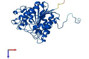 AlphaFold protein structure predicition of Mouse Recombinant Arg1 Protein, UniprotID Q61176