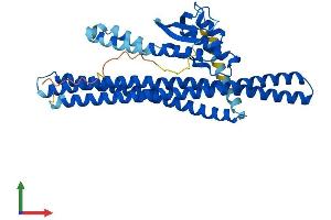AlphaFold protein structure predicition of Mouse Recombinant Snx6 Protein, UniprotID Q6P8X1