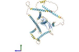 AlphaFold protein structure predicition of Human Recombinant NEXN Protein, UniprotID Q0ZGT2