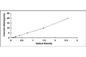 Typical standard curve (DDT Kit ELISA)
