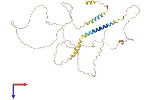 AlphaFold protein structure predicition of Human Recombinant AJAP1 Protein, UniprotID Q9UKB5