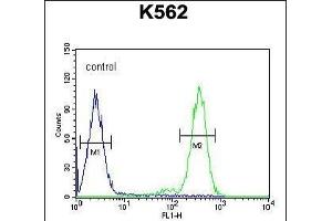 RTP4 Antibody (C-term) (ABIN654495 and ABIN2844227) flow cytometric analysis of K562 cells (right histogram) compared to a negative control(left histogram). (RTP4 anticorps  (C-Term))