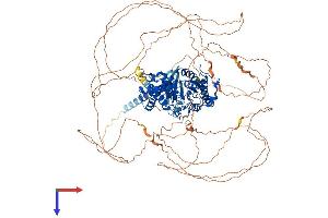 AlphaFold protein structure predicition of Human Recombinant GNAS Protein, UniprotID Q5JWF2