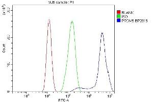 Flow Cytometry analysis of CACO-2 cells using anti-PRDM5 antibody (ABIN7600853). (PRDM5 anticorps  (AA 24-630))