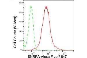 Flow cytometric analysis of SNRPA expression in HepG2 cells using SNRPA antibody (ABIN7800378), 1:2,000). (Recombinant SNRPA1 anticorps)