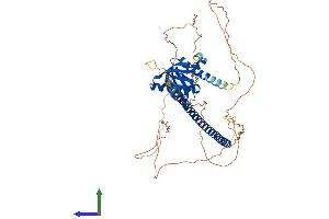 AlphaFold protein structure predicition of Mouse Recombinant Nos1ap Protein, UniprotID Q9D3A8