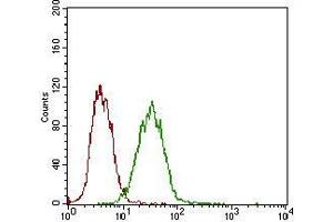 Flow cytometric analysis of A431 cells using EPCAM mouse mAb (green) and negative control (red). (EpCAM anticorps  (AA 24-265))