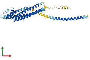 AlphaFold protein structure predicition of Human Recombinant STX1A Protein, UniprotID Q16623