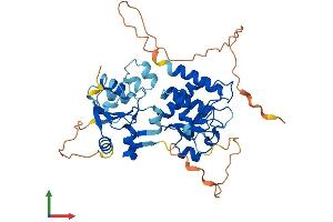 AlphaFold protein structure predicition of Human Recombinant DUSP4 Protein, UniprotID Q13115