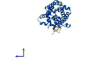 AlphaFold protein structure predicition of Human Recombinant CH25H Protein, UniprotID O95992