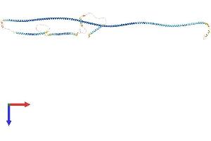AlphaFold protein structure predicition of Human Recombinant SDCCAG8 Protein, UniprotID Q86SQ7