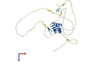 AlphaFold protein structure predicition of Human Recombinant FOXL1 Protein, UniprotID Q12952