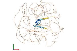 AlphaFold protein structure predicition of Mouse Recombinant Tcof1 Protein, UniprotID O08784