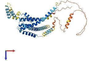 AlphaFold protein structure predicition of Human Recombinant KCNK18 Protein, UniprotID Q7Z418