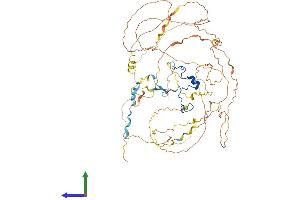 AlphaFold protein structure predicition of Mouse Recombinant Casc3 Protein, UniprotID Q8K3W3