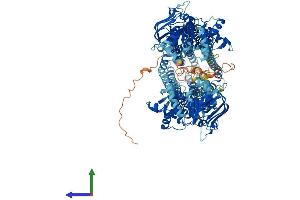 AlphaFold protein structure predicition of Human Recombinant ABCB1 Protein, UniprotID P08183