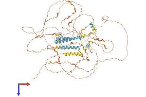 AlphaFold protein structure predicition of Human Recombinant TROAP Protein, UniprotID Q12815