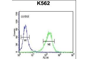 DLL4 Antibody (C-term) (ABIN653922 and ABIN2843156) flow cytometric analysis of K562 cells (right histogram) compared to a negative control cell (left histogram). (DLL4 anticorps  (C-Term))