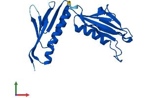 AlphaFold protein structure predicition of Mouse Recombinant Rpl9 Protein, UniprotID P51410