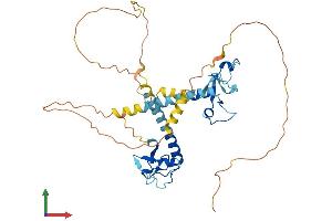 AlphaFold protein structure predicition of Human Recombinant MBNL1 Protein, UniprotID Q9NR56
