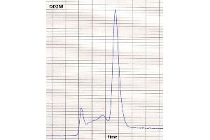product purity: gel permeation chromatography (Superose 12/HR) (Souris anti-Humain IgE Anticorps (Biotin))
