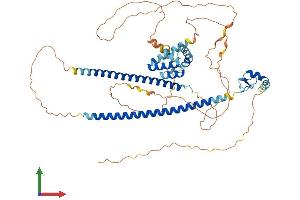 AlphaFold protein structure predicition of Human Recombinant RUNX1T1 Protein, UniprotID Q06455